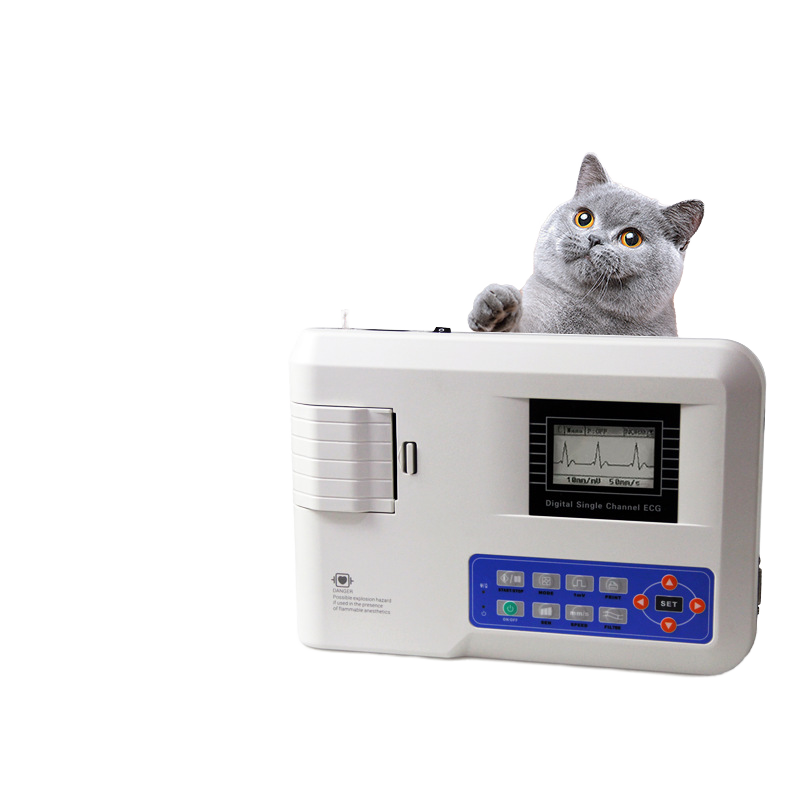 Portable Ultrasound Machine - Channel Portable Veterinary Electrocardiograph machine for